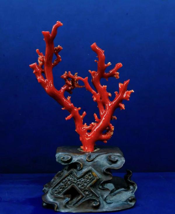 「五大紅色文玩」裡面,為什麼就南紅瑪瑙最火呢? 「五大紅色文玩」裡面,為什麼就南紅瑪瑙最火呢?