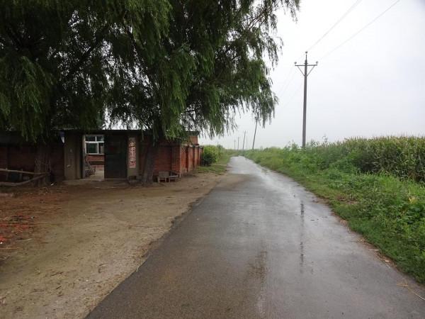 鄉情散文:回鄉路·思鄉情 鄉情散文:回鄉路·思鄉情