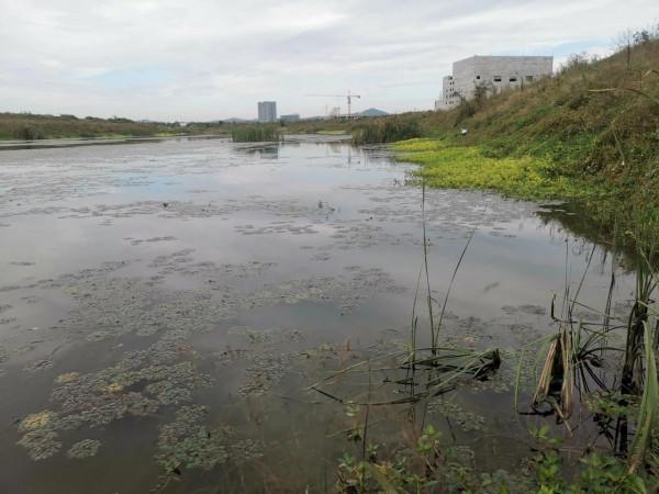 抓住一波魚狂口小爆護,天涼了得釣深釣遠了 抓住一波魚狂口小爆護,天涼了得釣深釣遠了