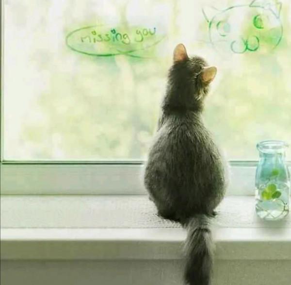 人性之惡：寬以待己，嚴以律人