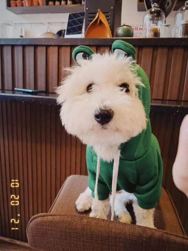 當代青年社交新本領:記住同事的寵物名 當代青年社交新本領:記住同事的寵物名