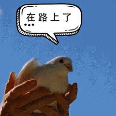 動物表情包大賽開始啦！快，秀出你的高質量動物表情包