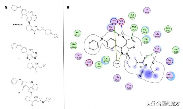 可逆抑制劑解決耐藥難題，LOXO-305欲撬動百億美金BTK市場