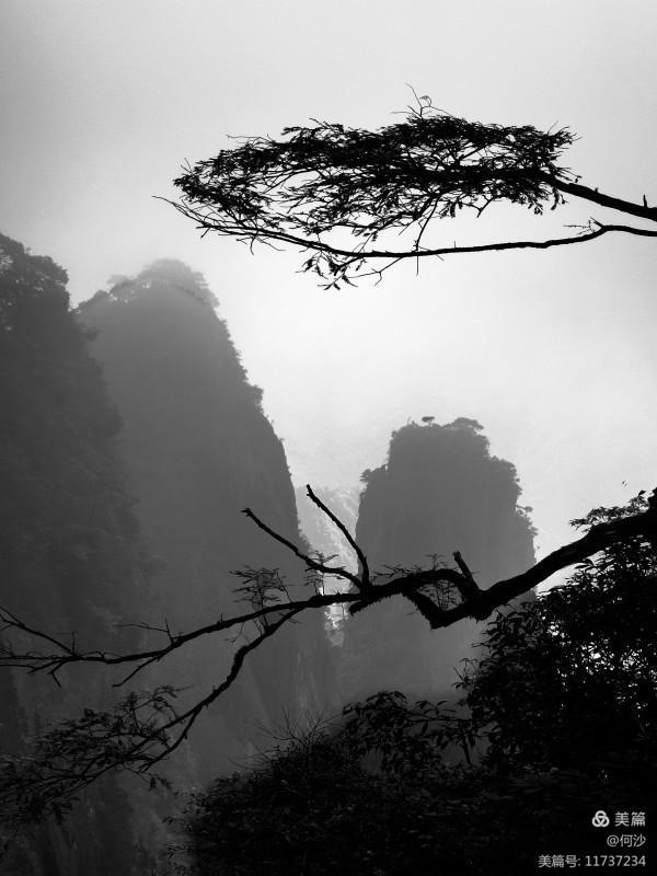 大美莽山(上) 大美莽山(上)