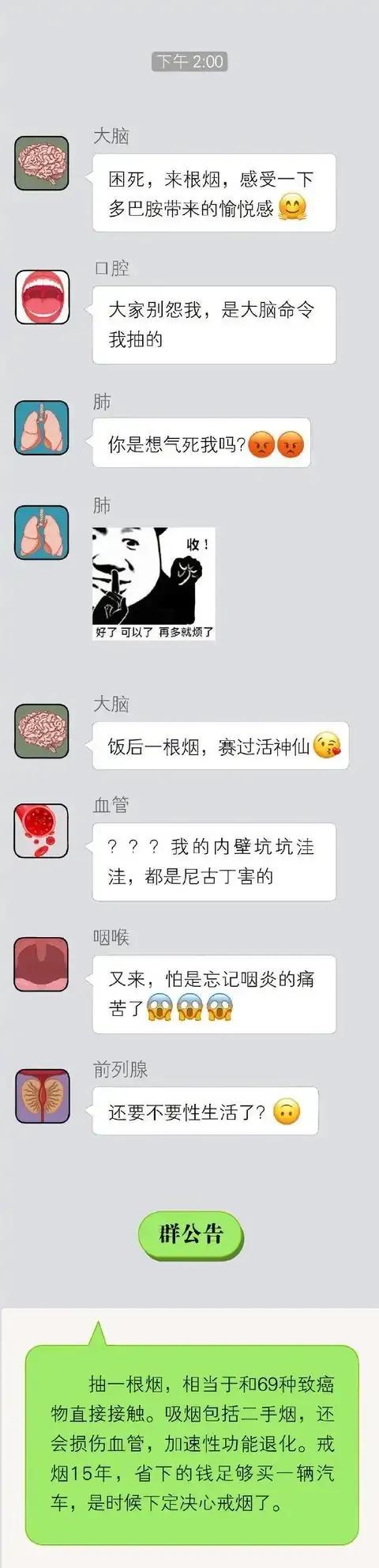 當你的器官發起了群聊，它們會說些什麼？