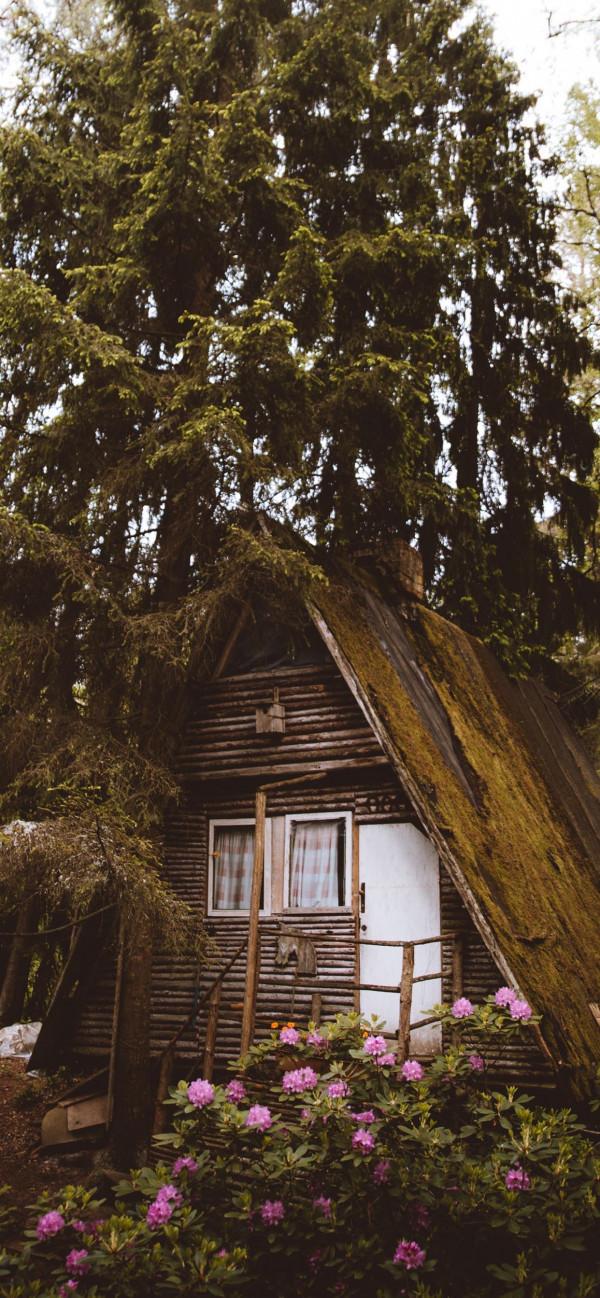 桌布｜鄉村小屋-溫柔的家