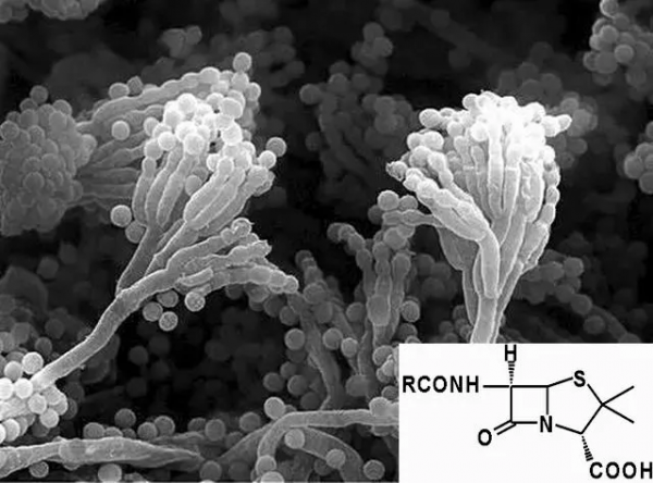 歪打正著的藥物（一）