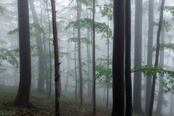 為什麼人在下雨天更愛睡覺呢？