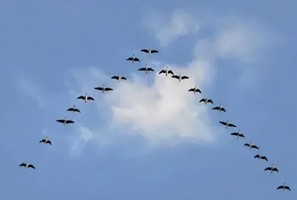 辛丑詠中秋詩詞五首