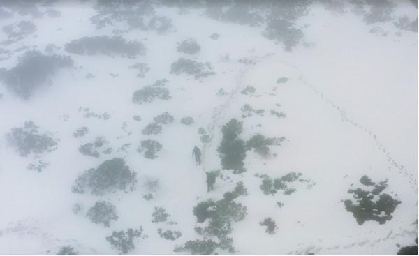 是第一次也是最後一次見到雪，鍾漢良新綜翻越夾金山，致敬先輩