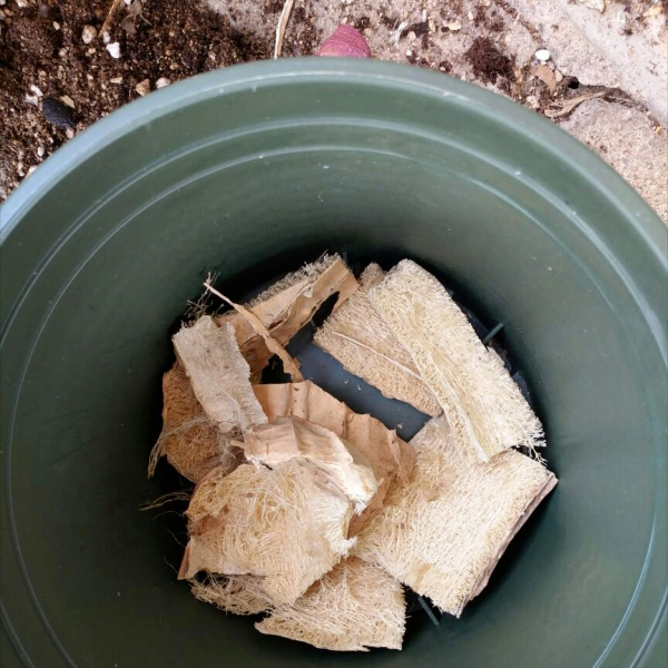 花盆裡加點“小廢物”，養花十年不換盆，根系舒服，開花更壯