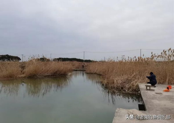 新釣點，野戰之王&CenterDot;腥香再顯神威