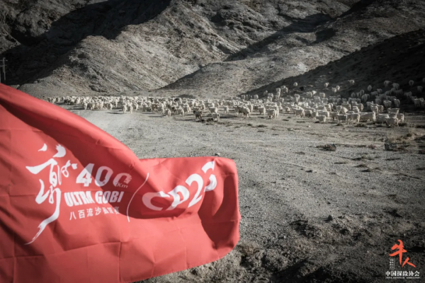 能“活活”跑完400公里的都是些什麼人？揭開鏡頭下真實的跑者