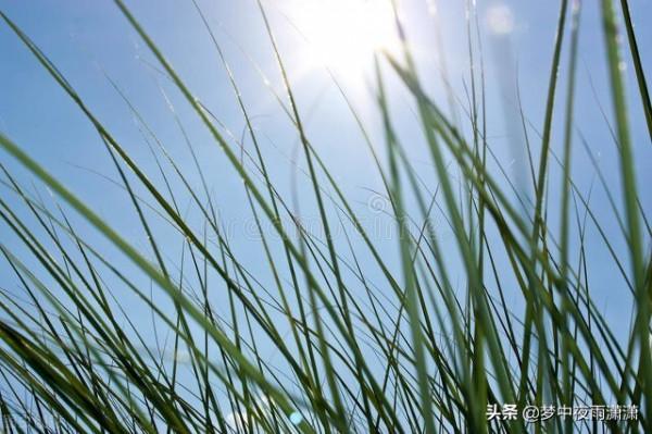 我不說卻渴望你懂，土象星座們的內心吶喊