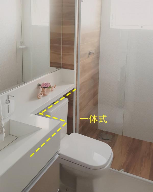 鄰居3㎡衛生間裝得真有一手，一體化加強整體感，儲物多了不少