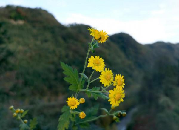 一位縣城公務員的雙休