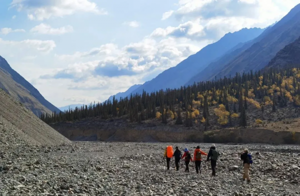 孟克德：金黃暴擊，意外心動