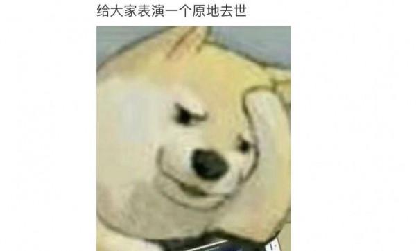 iOS 15.2新功能吐槽:“數字遺產”令人社死,誰敢測試一下? iOS 15.2新功能吐槽:“數字遺產”令人社死,誰敢測試一下?