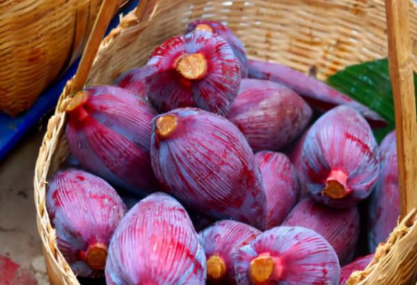 東北人逛雲南農村菜市場，一個菜都不認識，當地人：我們也認不全