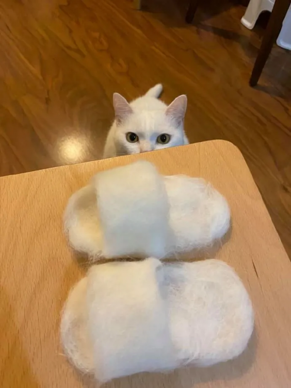 鏟屎官用貓咪褪下的毛做了雙拖鞋