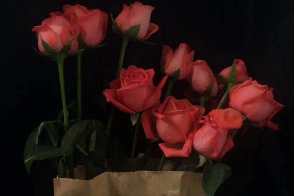 防備心極強，不會相信任何人的星座，內心缺乏安全感，強大又敏感