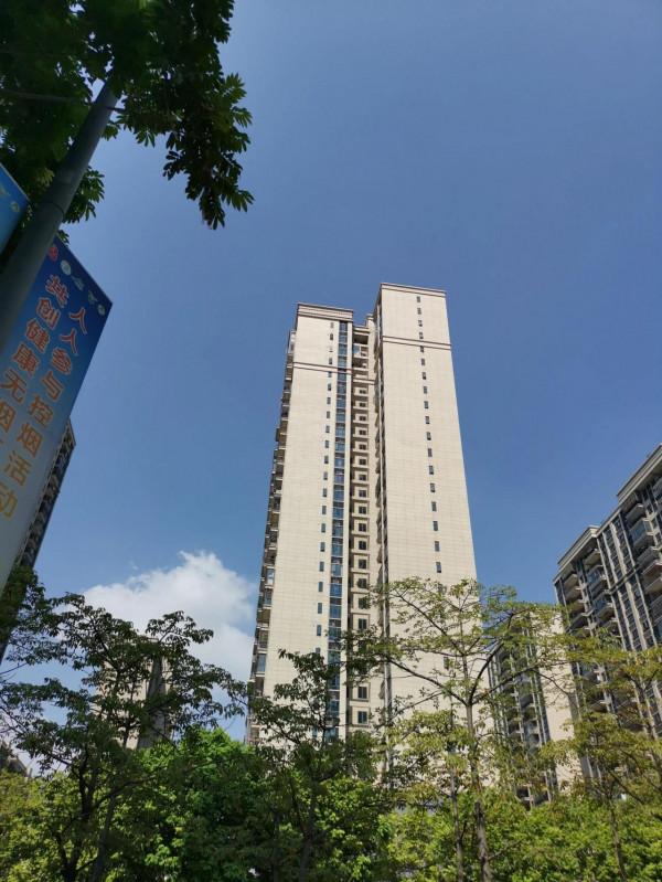 人類生命的起源探討 人類生命的起源探討