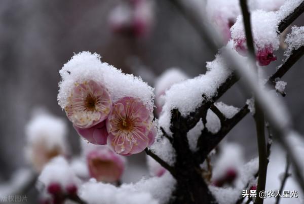 天氣預報：大暴雪範圍已經確定，連下5天，元宵冷哭？農諺咋說？