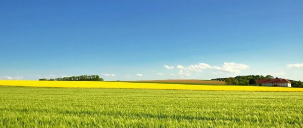 為什麼要建設現代農業產業園？