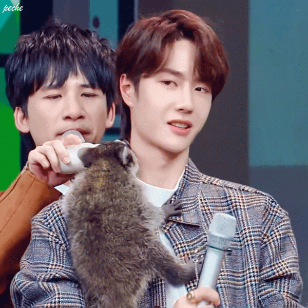 男明星的溫柔與寵溺都給了萌寵,好羨慕 男明星的溫柔與寵溺都給了萌寵,好羨慕