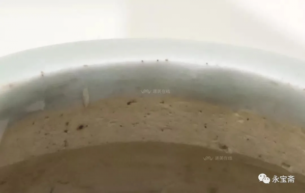 宋-元青白釉三足爐 宋-元青白釉三足爐