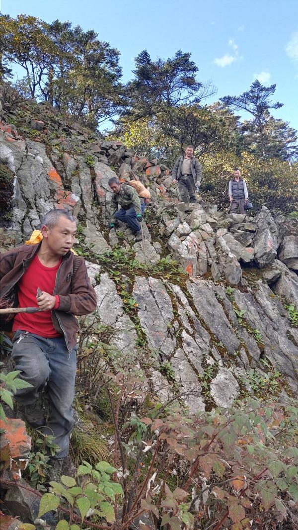 大熊貓國家公園彭州管護隊員:“守山”21年 徒步走遍保護區300餘平方公里 大熊貓國家公園彭州管護隊員:“守山”21年 徒步走遍保護區300餘平方公里