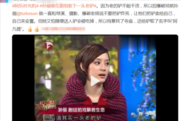 《當家主母》虐貓？這些影視劇的動物們也很慘，有些甚至立過功