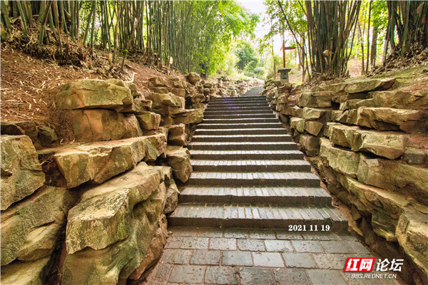 在衡陽這座公園裡，我遇到古典美學與現代藝術的碰撞與融合