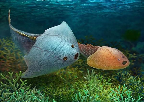 脊椎動物崛起，目標征服陸地——泥盆紀