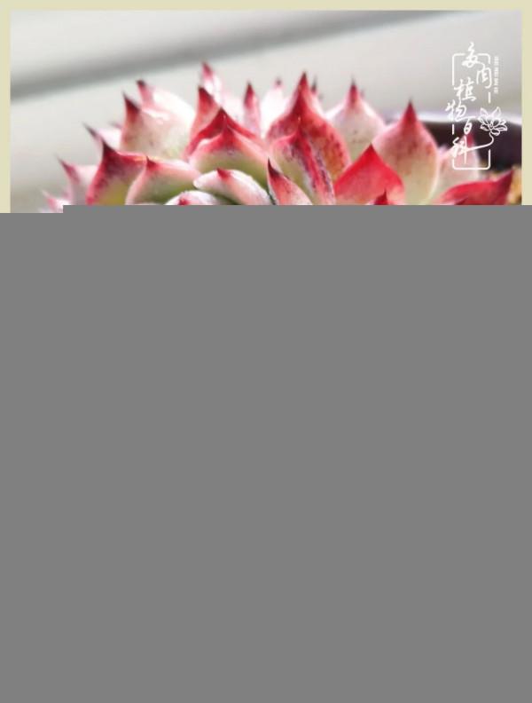 用一份熱愛，溫暖一段時光