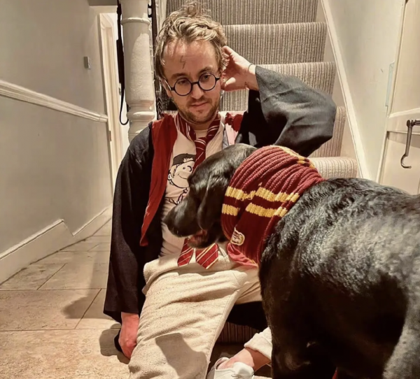 《哈利波特》20年：哈利羅恩長殘馬爾福謝頂，4位老戲骨與世長辭