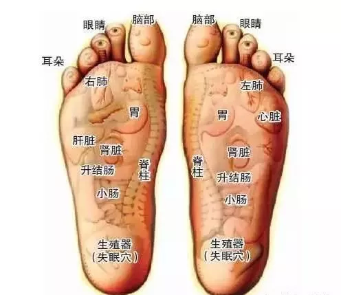 春捂秋凍!但這3個部位千萬不能“凍” 春捂秋凍!但這3個部位千萬不能“凍”