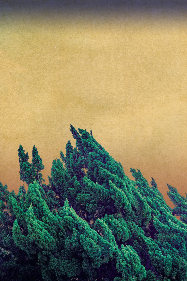 精明不如厚道,計較不如坦誠,強勢不如和善 精明不如厚道,計較不如坦誠,強勢不如和善