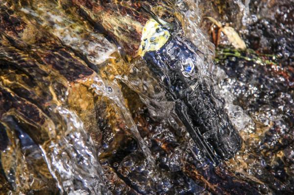 明亮便攜顏值高，手電就選務本新品C2