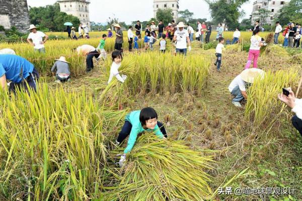 30個美麗鄉村盈利專案推薦
