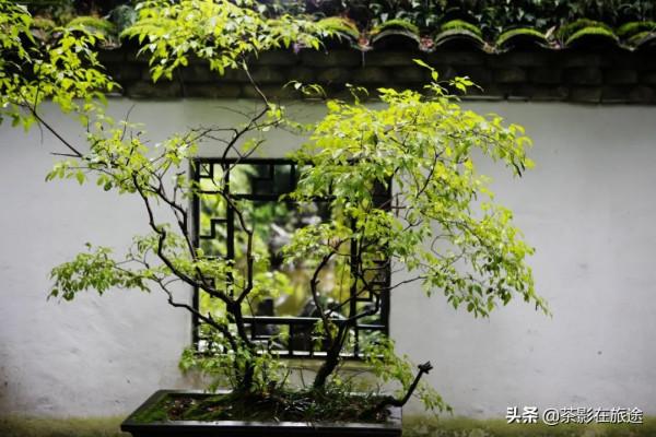 茶影的進藏日誌2