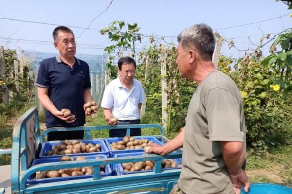 你真的能改變生活嗎？農村人的致富方法其實是可以複製的