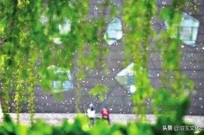 天若有情天亦老，人間正道是滄桑（原創散文）