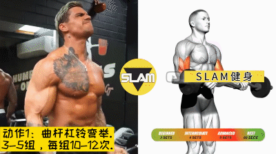 如何有效地練好肱二頭肌？5個動作讓手臂 充滿力量感