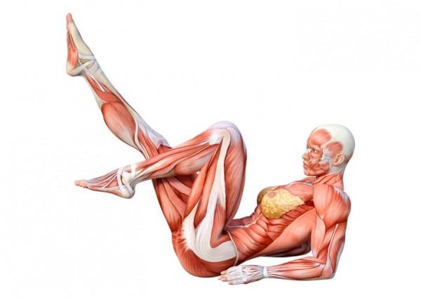 10 個簡單的動作來消除背痛，並同時鍛鍊你的腹肌