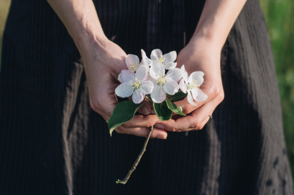 讀懂四大名著，是中國人一生的修行