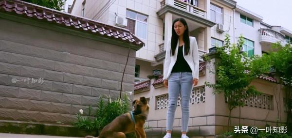 女孩撿到流浪狗，不料因此收穫幸福愛情，走向人生巔峰！國產片