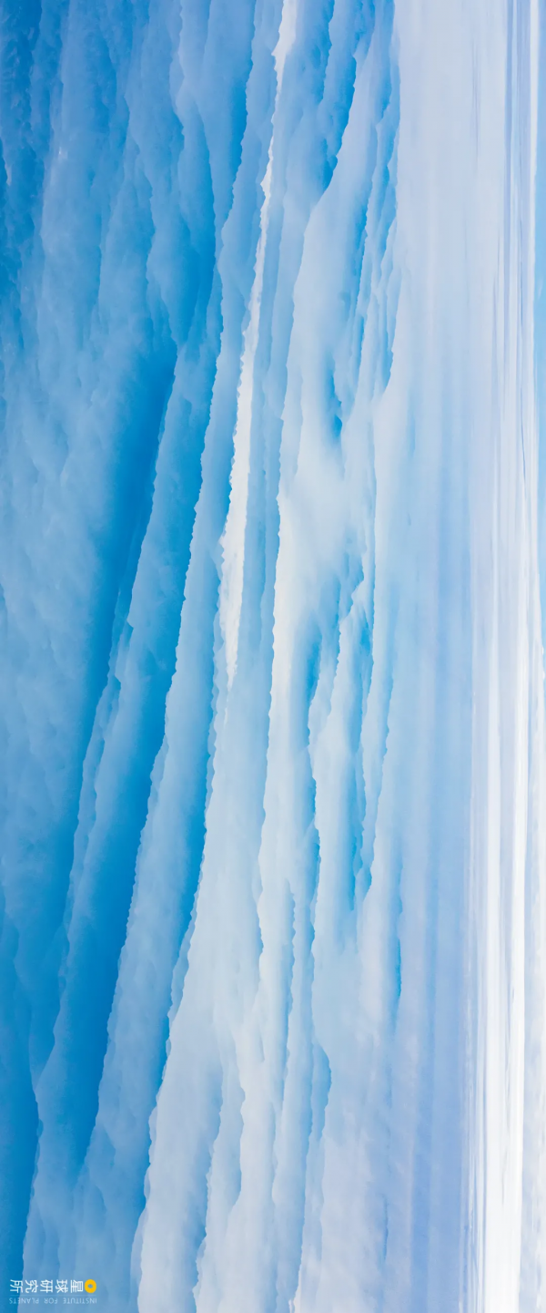 四川從哪裡來? 四川從哪裡來?