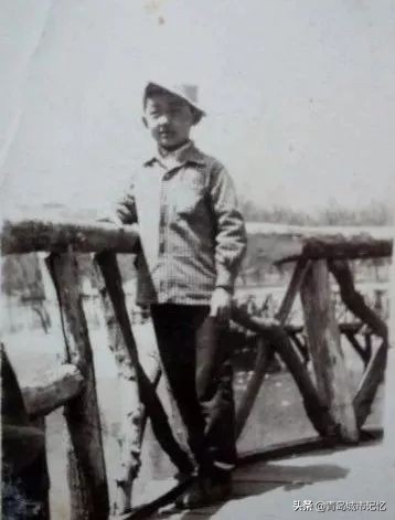 中山公園小西湖，你還記得她曾經的模樣嗎？