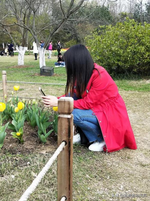 散文：殘月無枯顏，魂牽夢續讀